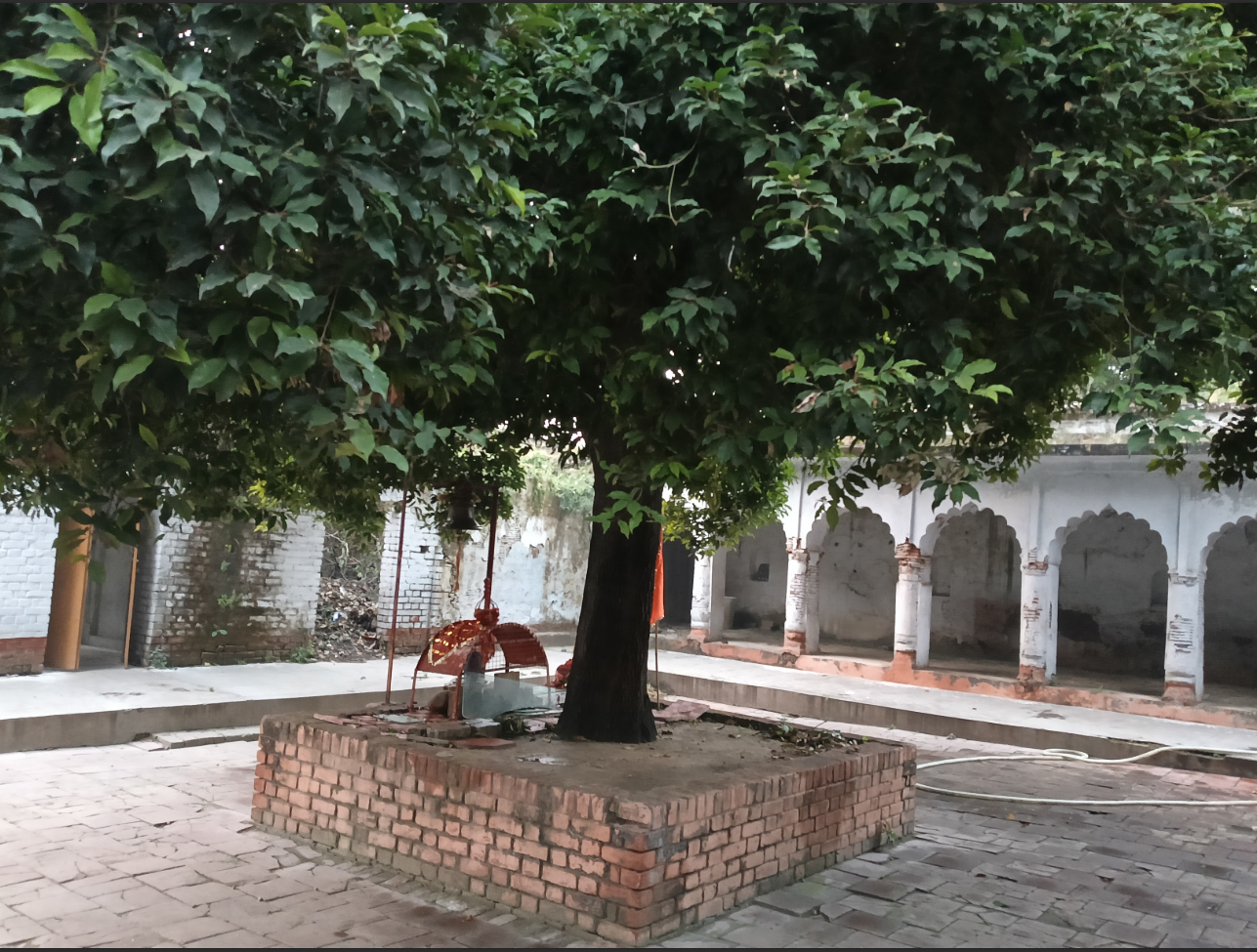 Save Lucknow’s 500-Year-Old Heritage from Oblivion